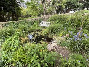 Photo 26- click for photo gallery